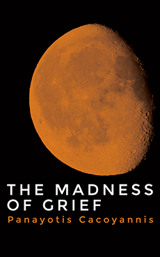 The Madness of Grief